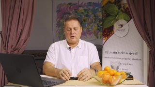 Soponyai János: Ajurvédikus alapelvek a kapcsolatrendszerekben