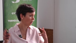 Kocsis Zsuzsanna